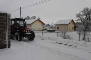 20181212_095546.jpg