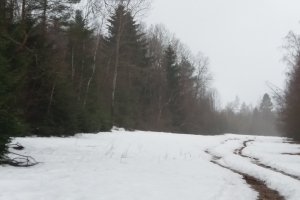 20190302_090727.jpg