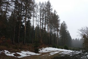 20190302_091437.jpg