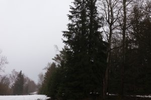 20190302_091508.jpg