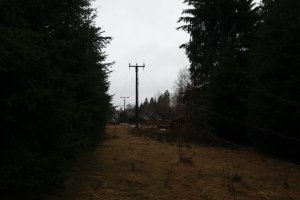 20190310_120357.jpg