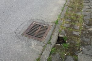 20180524_114546.jpg