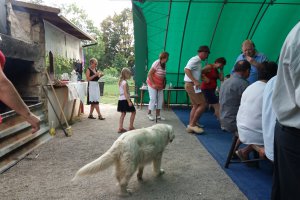 20180818_170622.jpg