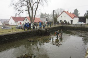 IMG_0729.JPG