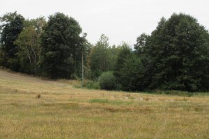 IMG_0915.JPG