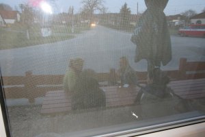 IMG_0851.JPG