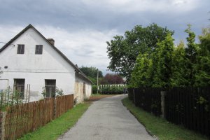 IMG_0864.JPG