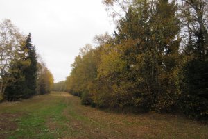 IMG_0902.JPG