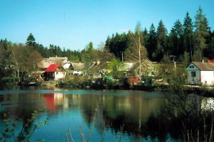 Býkovec - rybník
