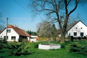 Kaliště - náves