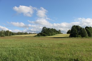 IMG_2440.JPG