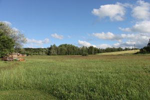 IMG_2441.JPG