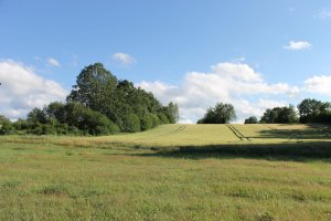 IMG_2442.JPG