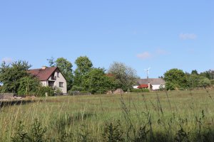 IMG_2445.JPG