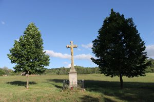 IMG_2449.JPG