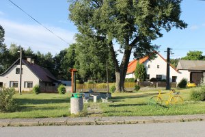 IMG_2478.JPG