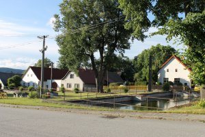 IMG_2480.JPG