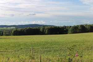 IMG_2515.JPG