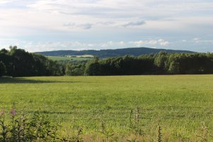 IMG_2516.JPG