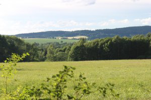 IMG_2517.JPG