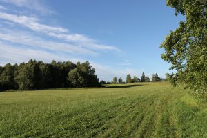 IMG_2523.JPG