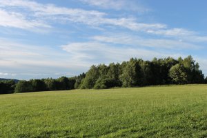 IMG_2524.JPG
