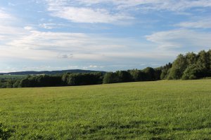 IMG_2525.JPG