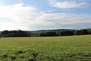 IMG_2526.JPG