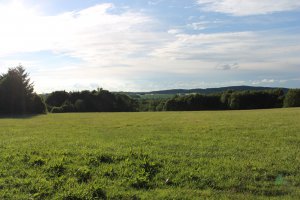IMG_2527.JPG