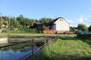IMG_2533.JPG