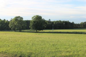 IMG_2559.JPG