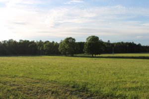 IMG_2561.JPG