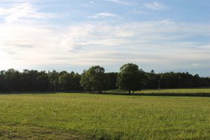 IMG_2562.JPG