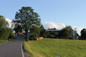 IMG_2563.JPG