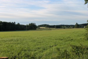 IMG_2566.JPG
