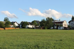 IMG_2567.JPG