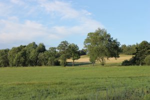 IMG_2569.JPG