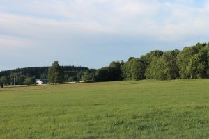 IMG_2570.JPG