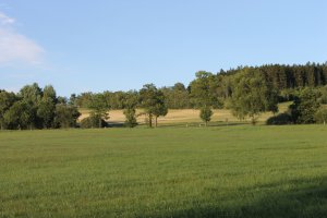 IMG_2571.JPG
