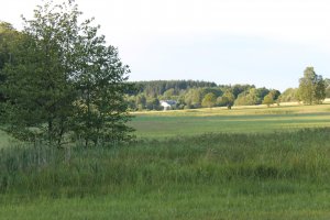 IMG_2572.JPG