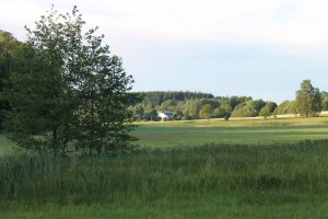 IMG_2574.JPG