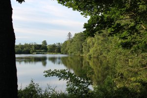 IMG_2576.JPG