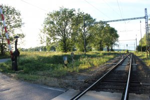 IMG_2589.JPG