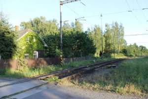 IMG_2591.JPG