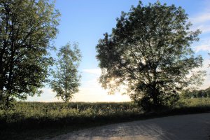IMG_2593.JPG