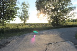 IMG_2594.JPG