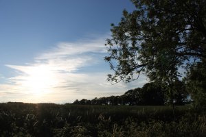 IMG_2597.JPG