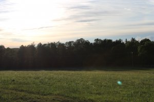IMG_2602.JPG