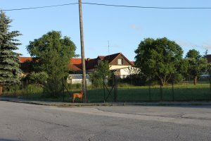 IMG_2606.JPG